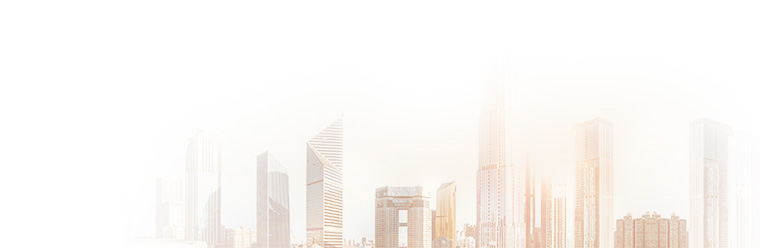 企業(yè)愿景